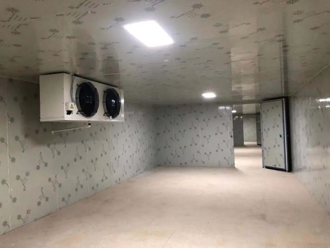 城区气调保鲜冷库造价